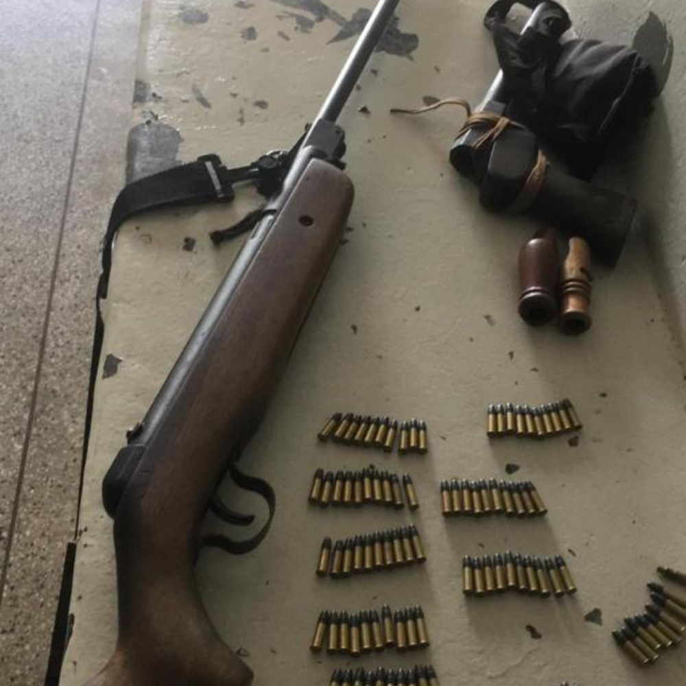 Foto: Divulgação Polícia Militar Ambiental