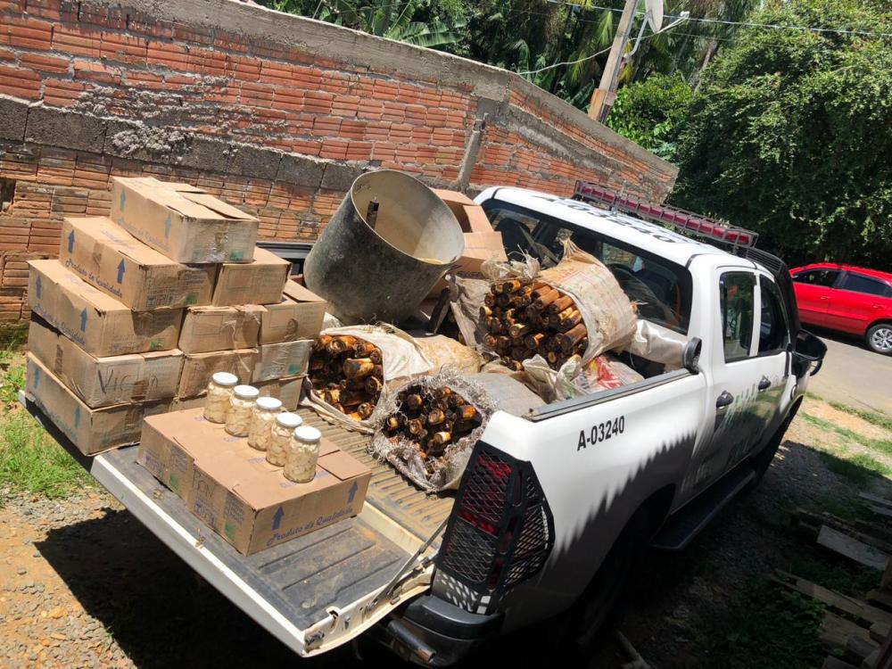 Foto: Divulgação Polícia Militar Ambiental