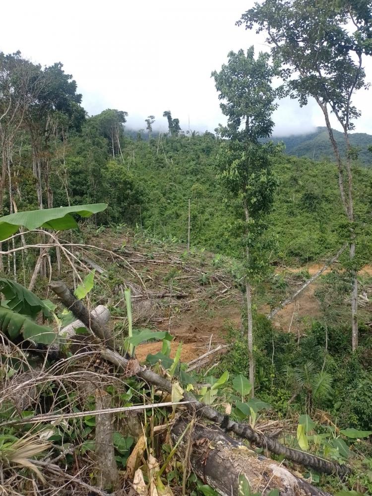 Foto: Divulgação Polícia Militar Ambiental