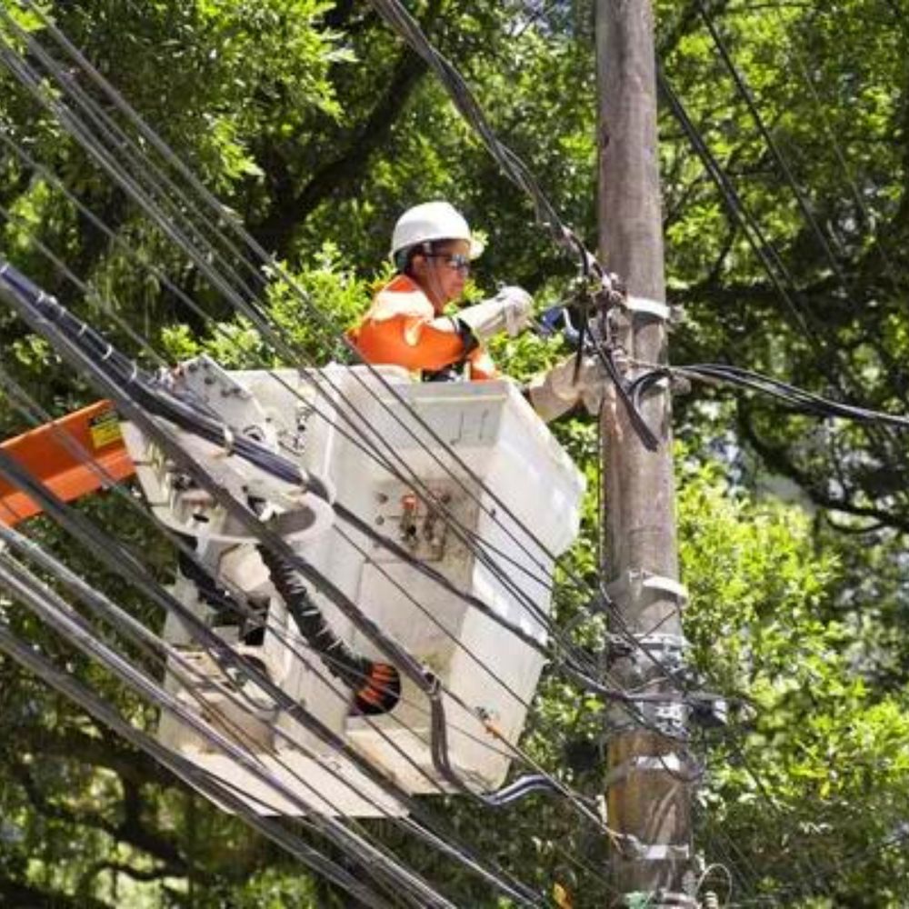  Foto: Neoenergia Elektro
