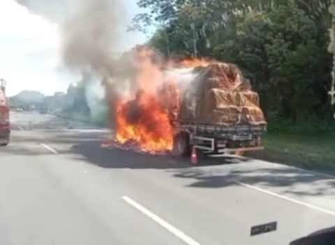 Foto: Reprodução Redes Sociais