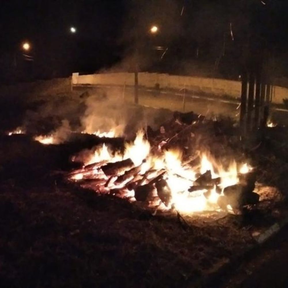 Foto: Reprodução Redes Sociais