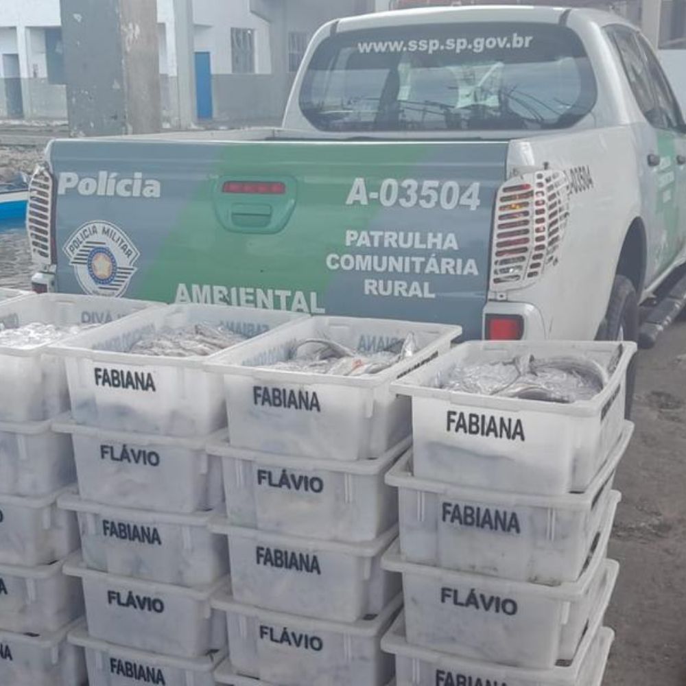 Foto: Reprodução Redes Sociais