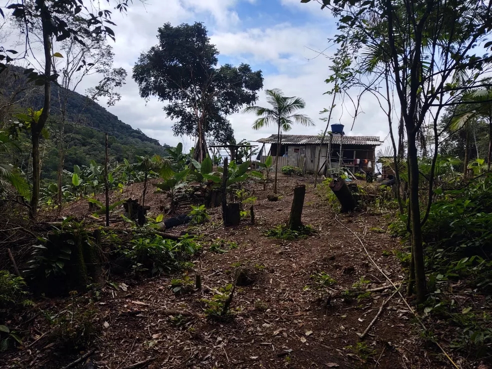 Foto: Divulgação/Polícia Ambiental