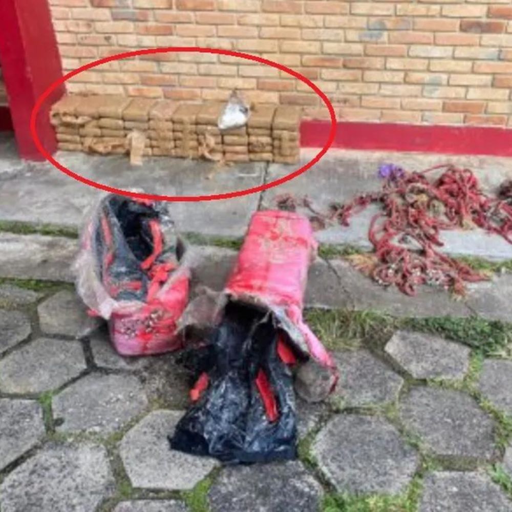 Foto: Notícias de Cananéia