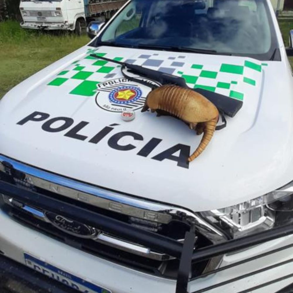 Foto: Divulgação Polícia Militar Ambiental