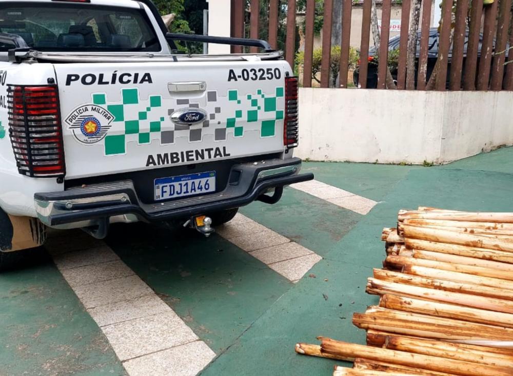 Foto: Divulgação Polícia Militar Ambiental