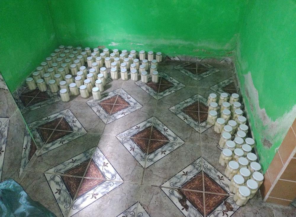 Foto: Divulgação Polícia Militar Ambiental