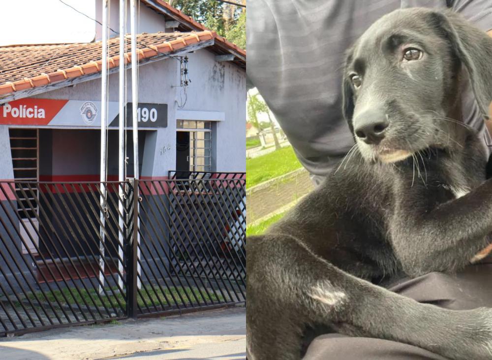 Foto: Divulgação