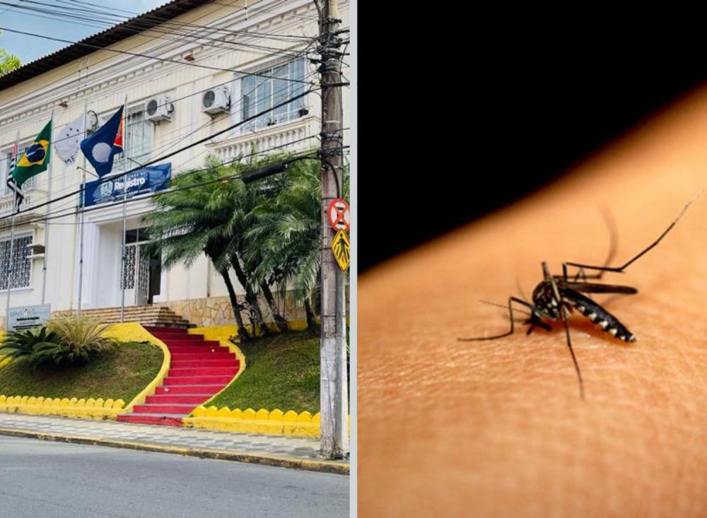Foto: Fagner Vieira/Divulgação
