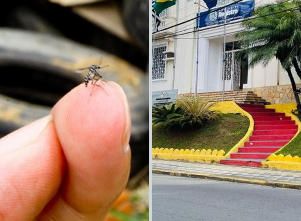 Foto: Divulgação