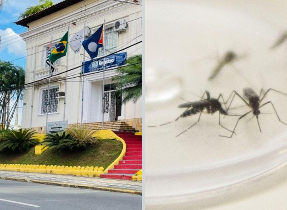Foto: Fagner Vieira/Divulgação
