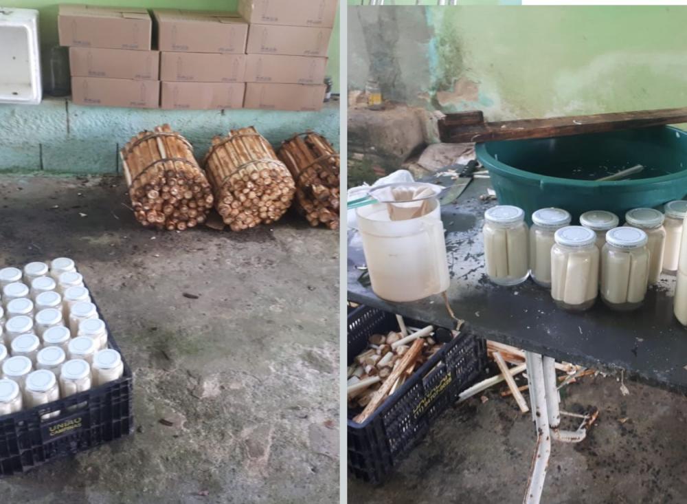 Foto: Divulgação Polícia Militar Ambiental