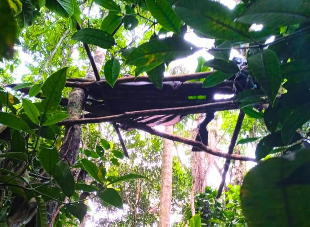Homem é preso no Vale do Ribeira por caça ilegal durante operação da PM Ambiental / Foto: Divulgação Polícia Militar Ambiental