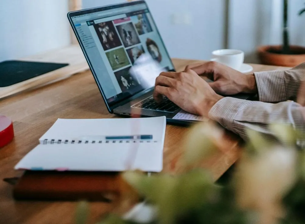 Lastlink abre processo seletivo com vaga de Trabalho Remoto para Analista de Suporte ao Cliente / Foto: Divulgação