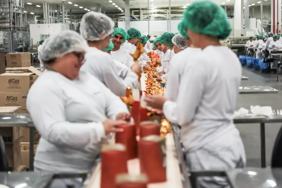 Indústria de alimentos abre 5 vagas sem escolaridade mínima para auxiliar de produção com salário de R$ 2.252 / Foto: Gerada por IA