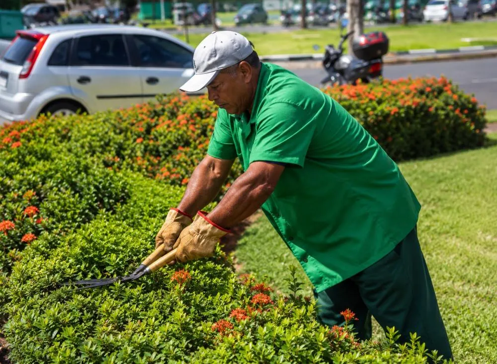 Senac abre processo seletivo para ensino fundamental completo com salário de R$ 2.540 para Jardineiro / Foto: Gerada por IA