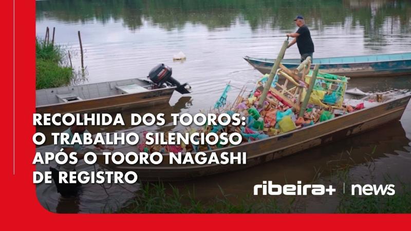 Recolhida dos Tooros: o trabalho silencioso após o Tooro Nagashi