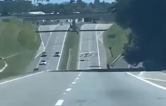 Caminhão com carga viva se envolve em acidente e animais caem pela Régis Bittencourt (BR-116)